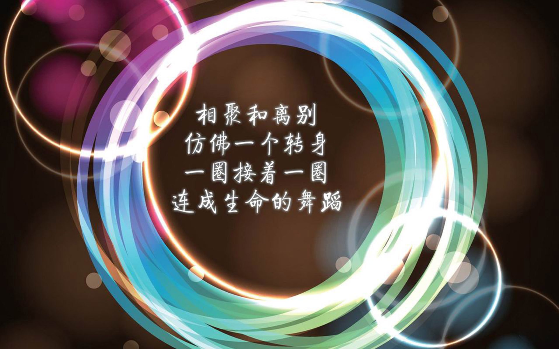 伊朗骑手卡尔·阿里·阿尔达比在巴黎奥运会上与“Porthos Maestro WH Z”马匹携手参赛，表现出色。