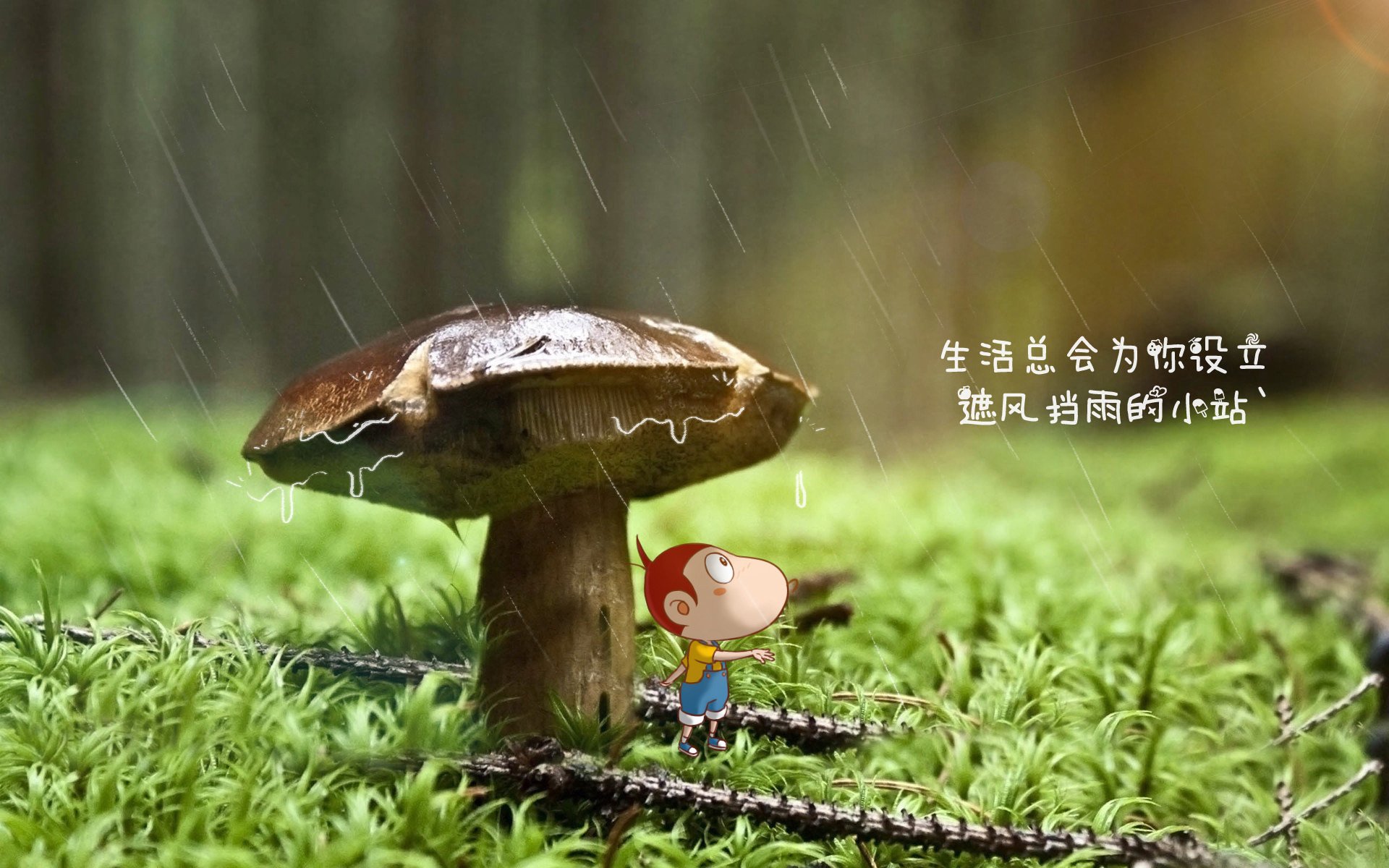 中国篮球运动赛事运营优化策略，篮球比赛运营方案模板