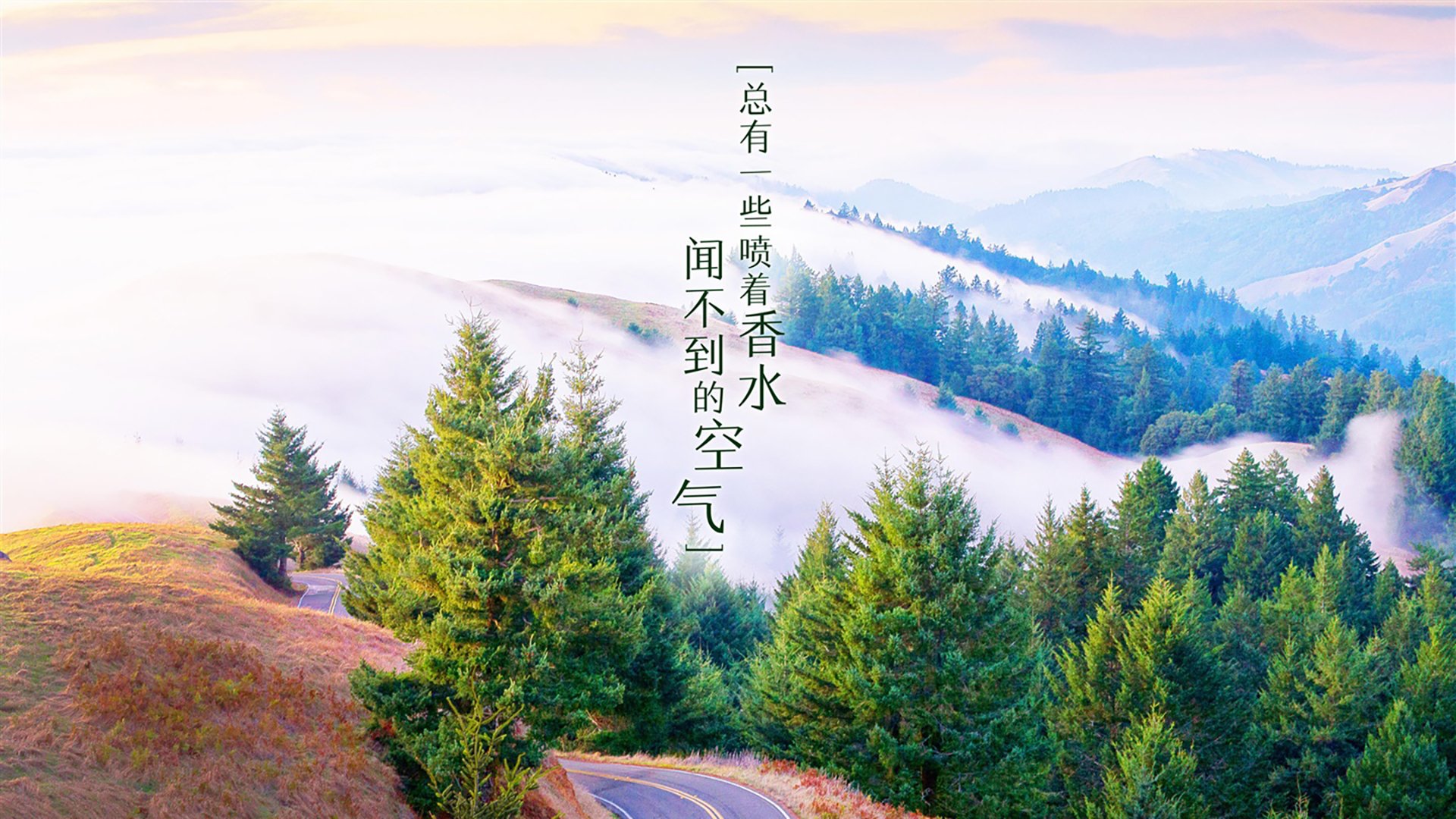 柏林赫塔民众挺进最后关键阶段，齐心协力迈向巅峰