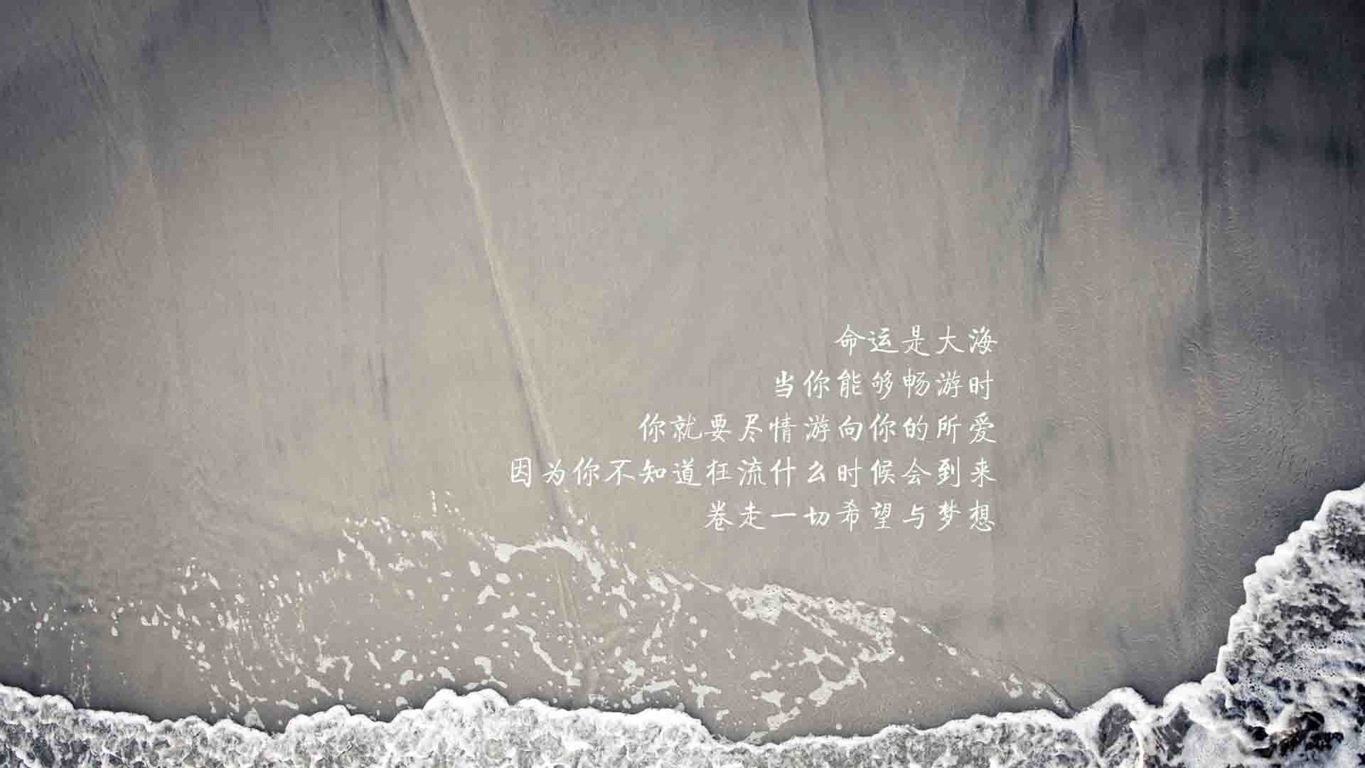 男子自由泳终段配速回升显著，男子自由泳等级